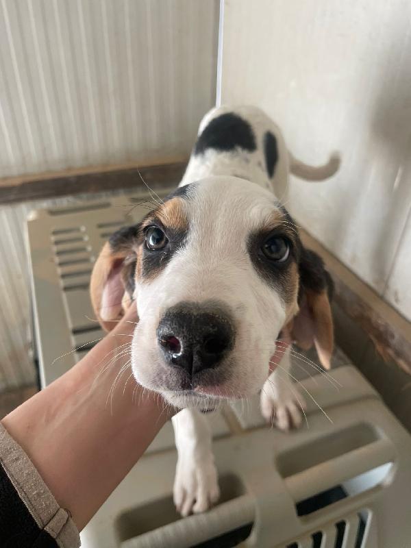 La Dolcissima Selene Aspetta Te