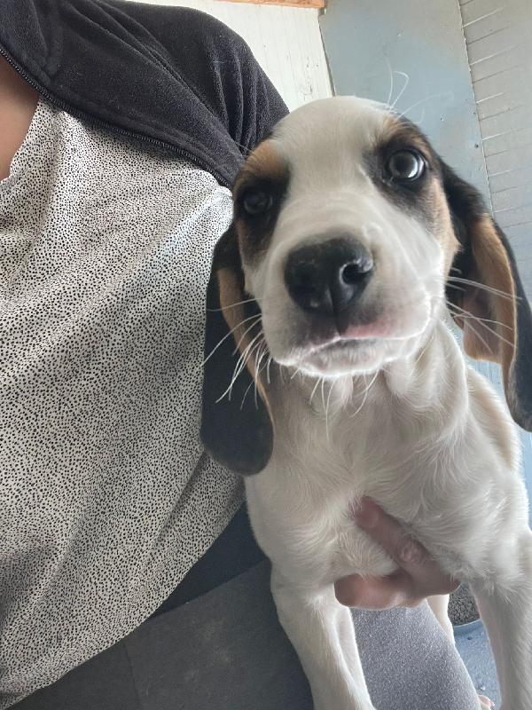 LA DOLCISSIMA SELENE ASPETTA TE Foto 2