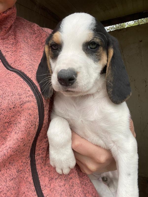 LA DOLCISSIMA SELENE ASPETTA TE Foto 3