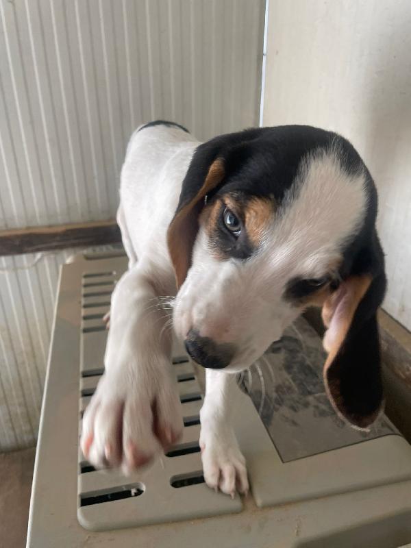 LA DOLCISSIMA SELENE ASPETTA TE Foto 6