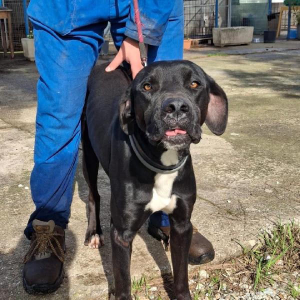 Benny 💙🌹💙 Foto 2