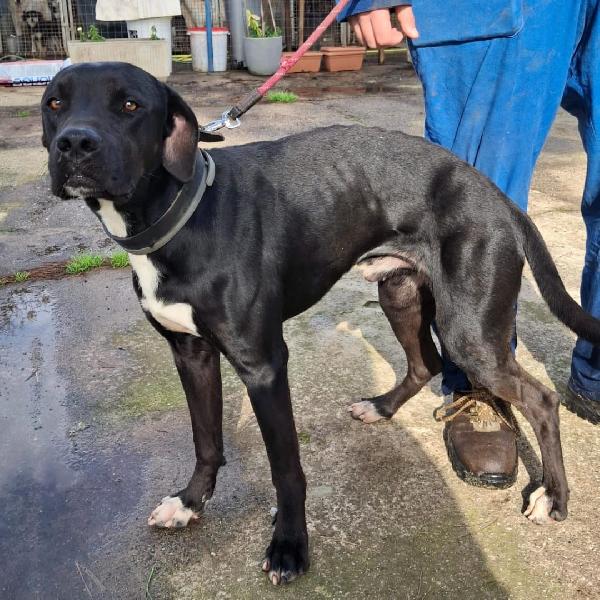 Benny 💙🌹💙 Foto 4