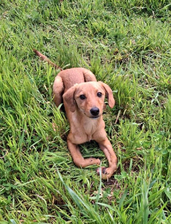 Nocciola💛🤎 Foto 3