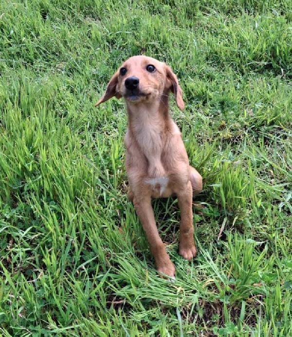 Nocciola💛🤎 Foto 4