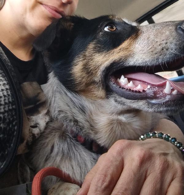 Kiki in adozione Foto 4