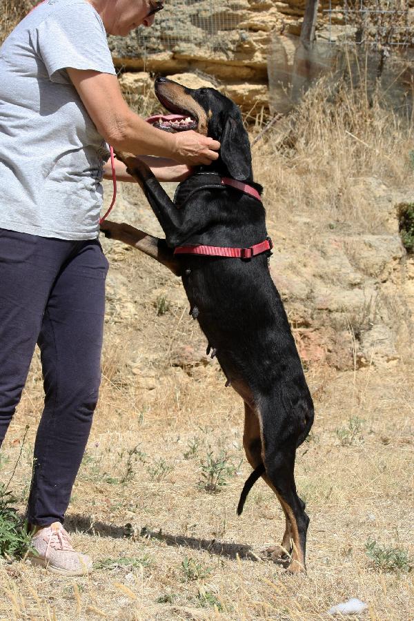 Bea in adozione Foto 5