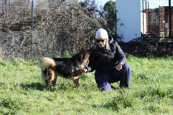 Enza in adozione Foto 5