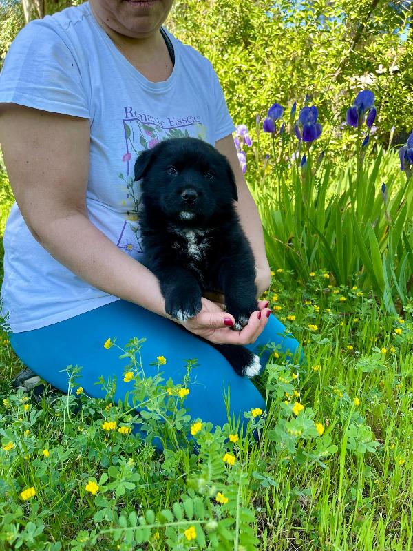 Darko bambolotto 2 mesi  Foto 3