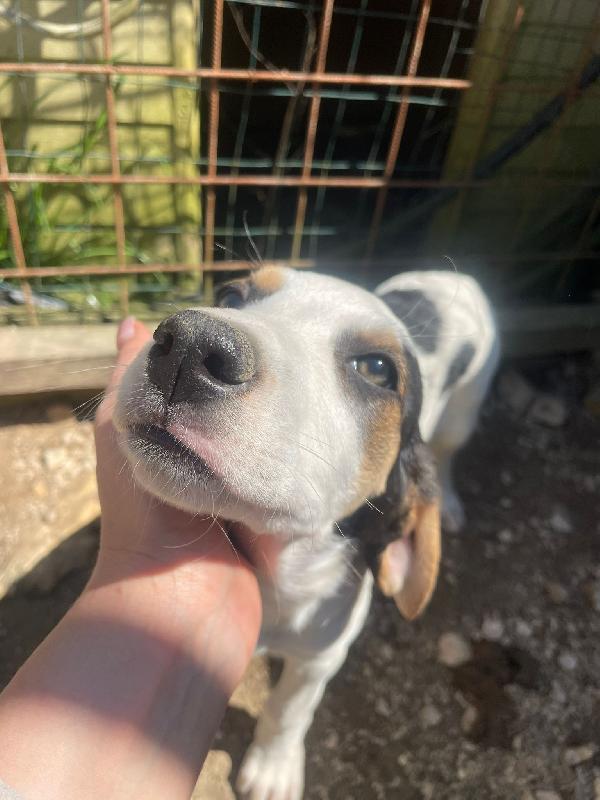 LA DOLCISSIMA SELENE Foto 4