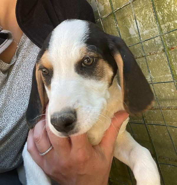 LA DOLCISSIMA SELENE Foto 6