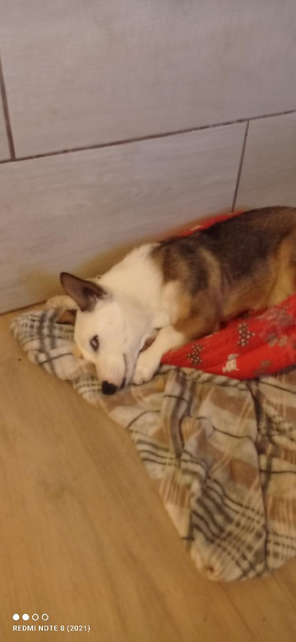 Pasqualina... Foto 2