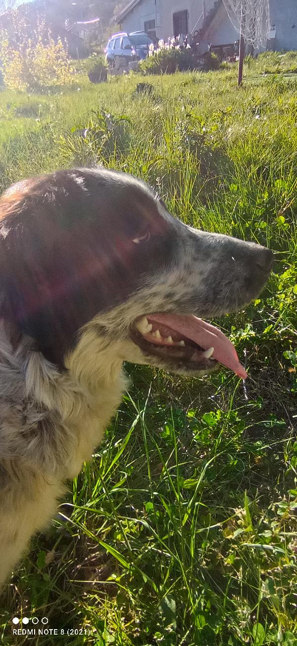 Amanti Delle Cucciolone Eeeee 