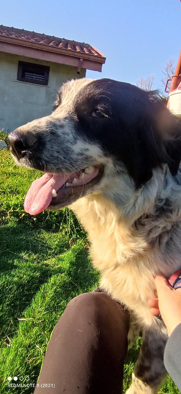 Amanti delle cucciolone eeeee  Foto 2