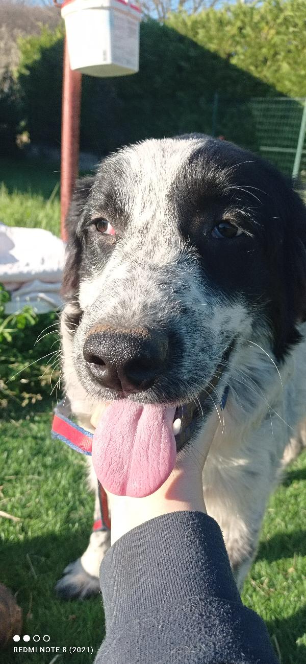 Amanti delle cucciolone eeeee  Foto 5