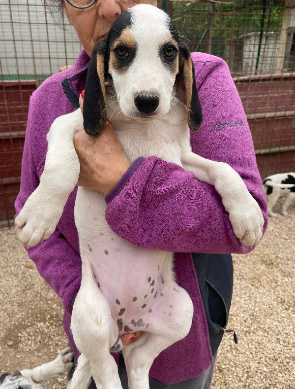 LA SPLENDIDA SELENE Foto 5