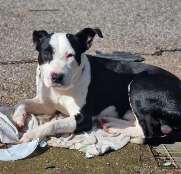 UNA MAMMA PER YURI Foto 3