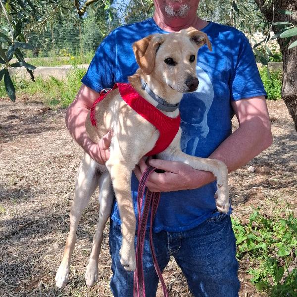 Luli la pazzerella  Foto 3