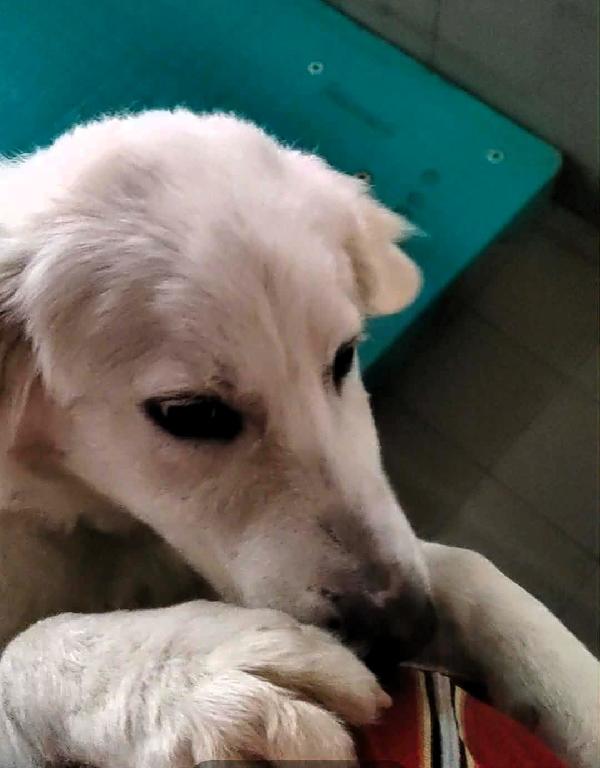 LELLA MAREMMANINA Foto 5