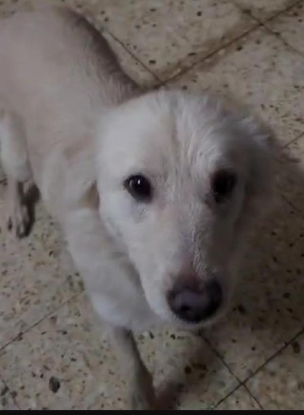 Vera 3anni vive in garage con 1suo figlio.COSENZA Foto 2