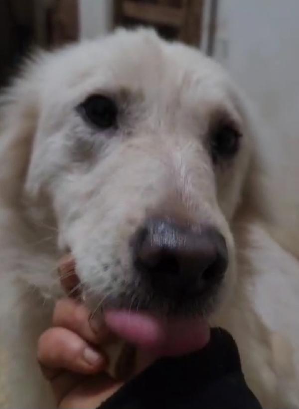 Vera 3anni vive in garage con 1suo figlio.COSENZA Foto 5