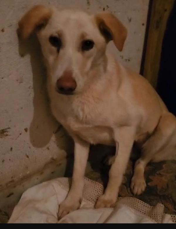 Vera 3anni vive in garage con 1suo figlio.COSENZA Foto 7