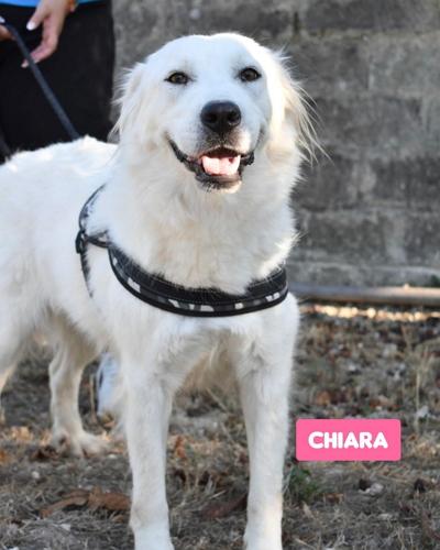 CHIARA DOLCE MAREMMANA Foto 10