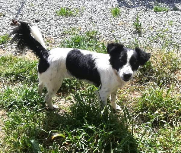 UNA MAMMA PER TIMMY Foto 2