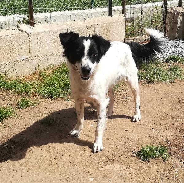 UNA MAMMA PER TIMMY Foto 3