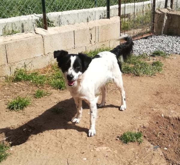 UNA MAMMA PER TIMMY Foto 4