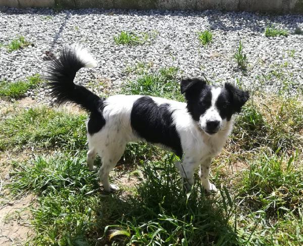 UNA MAMMA PER TIMMY Foto 5