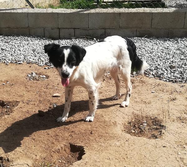 UNA MAMMA PER TIMMY Foto 6