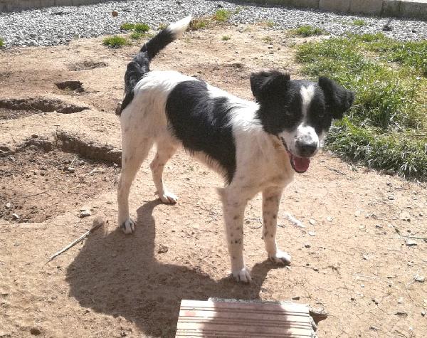 UNA MAMMA PER TIMMY Foto 7