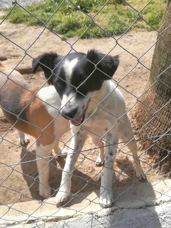 UNA MAMMA PER TIMMY Foto 8