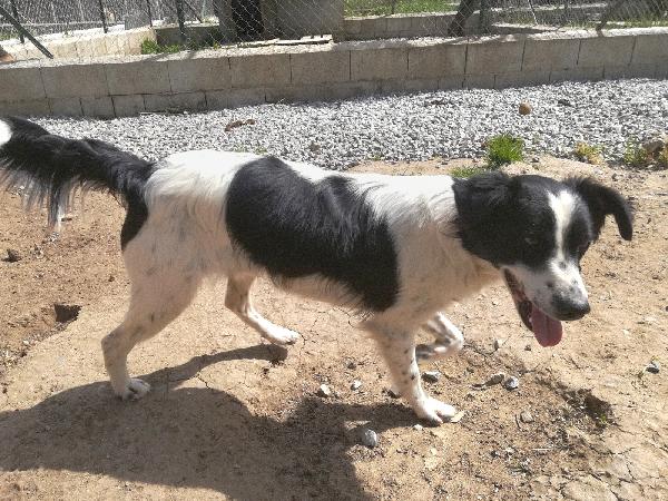 UNA MAMMA PER TIMMY Foto 9