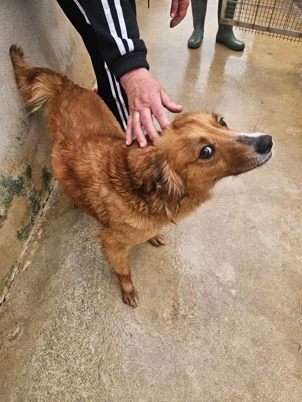 Stefi: 2 Anni Taglia Contenuta