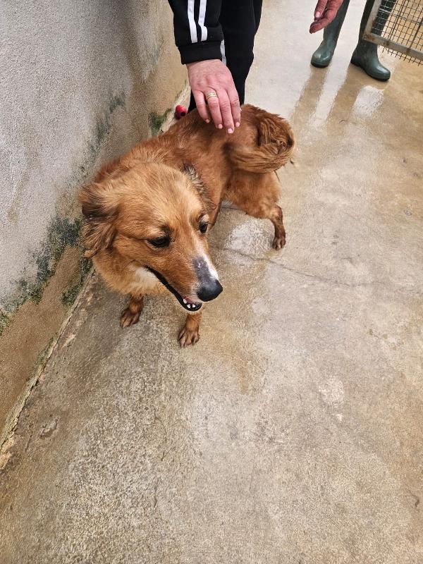 Stefi: 2 anni taglia contenuta Foto 3