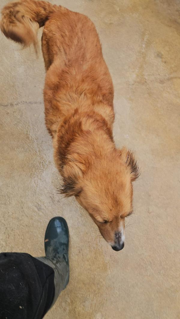 Stefi: 2 anni taglia contenuta Foto 4