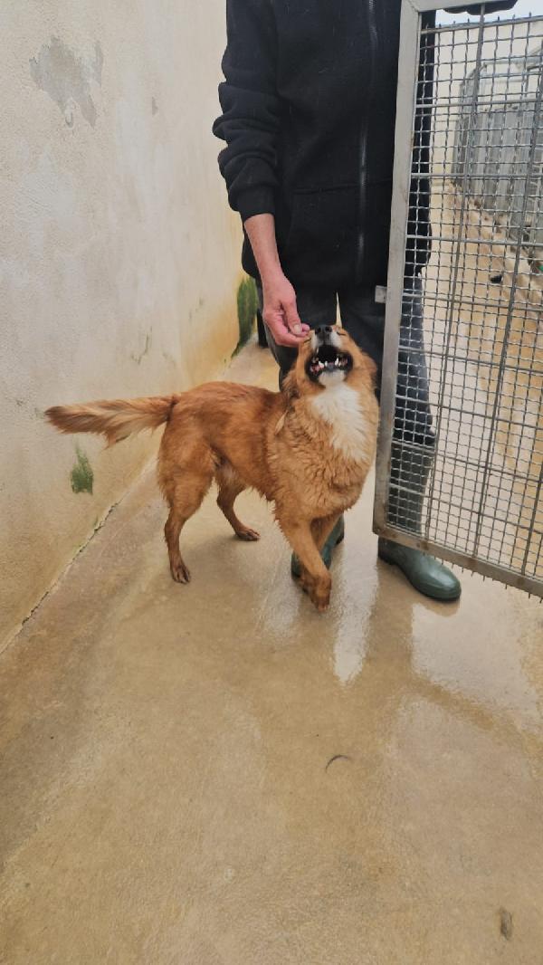 Stefi: 2 anni taglia contenuta Foto 5