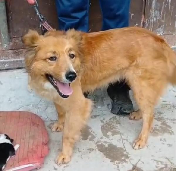 Stefi: 2 anni taglia contenuta Foto 6