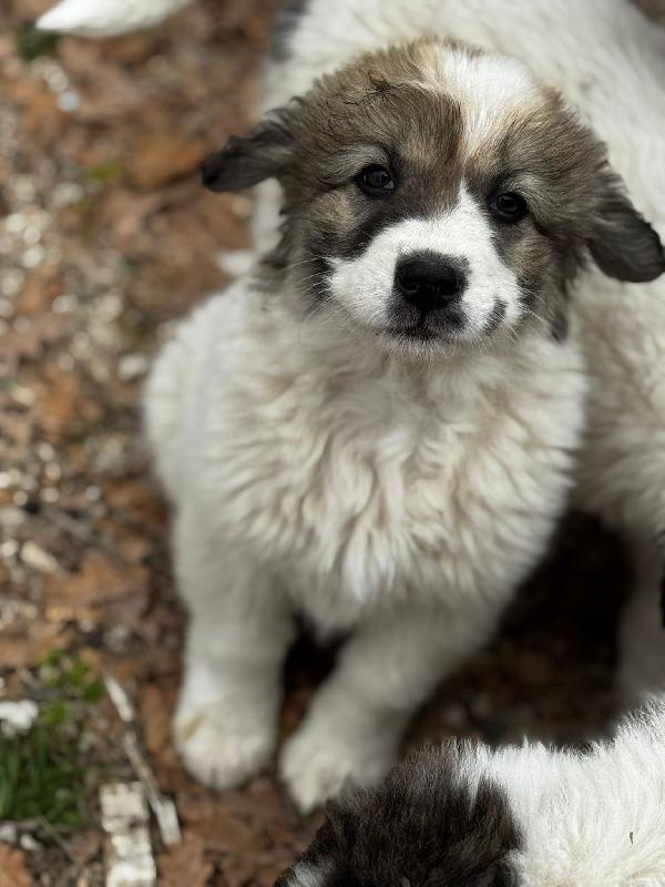 Ginny Foto 2