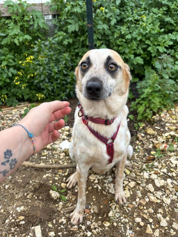 PICCOLO IN RIFUGIO. 2 ANNI Foto 2