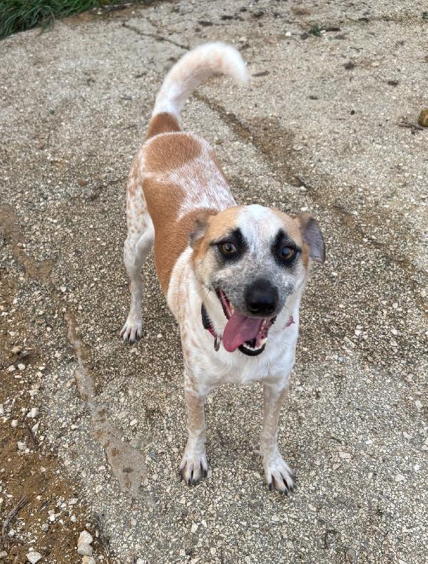 PICCOLO IN RIFUGIO. 2 ANNI Foto 5