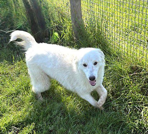 Molly, un raggio di sole  Foto 2