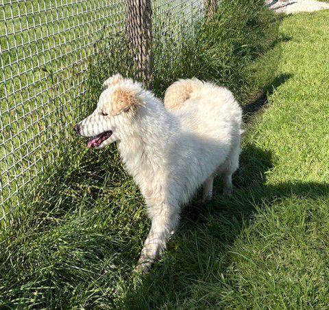 Molly, un raggio di sole  Foto 3