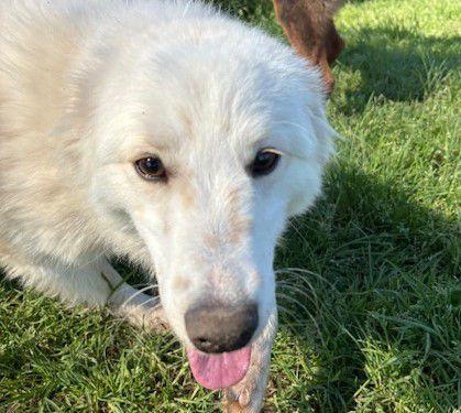 Molly, un raggio di sole  Foto 4