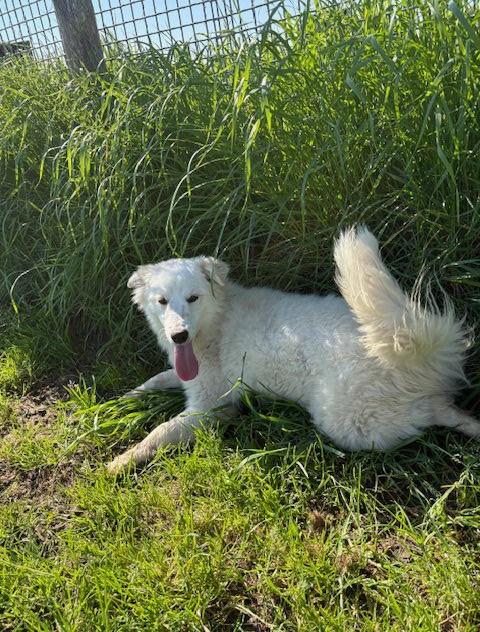 Molly, un raggio di sole  Foto 5