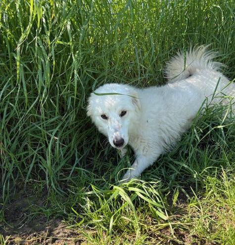 Molly, un raggio di sole  Foto 6