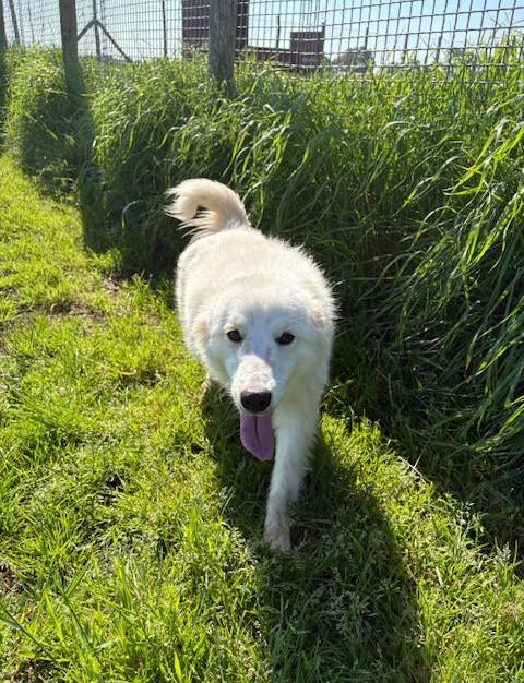 Molly, un raggio di sole  Foto 7