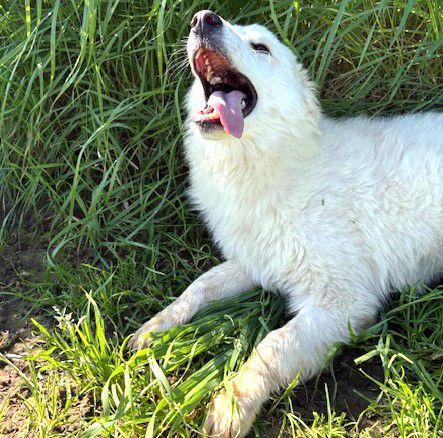 Molly, un raggio di sole  Foto 8