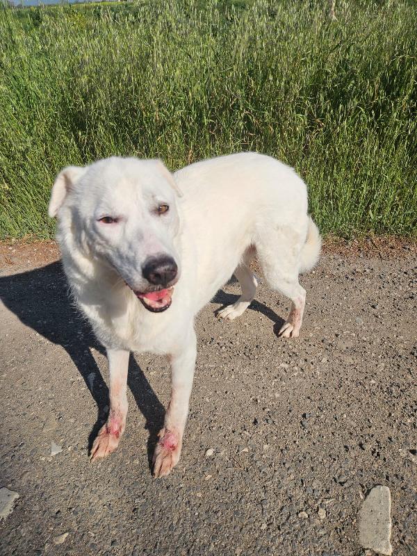 Consuelo: dolce, equilibrata, socievole Foto 9